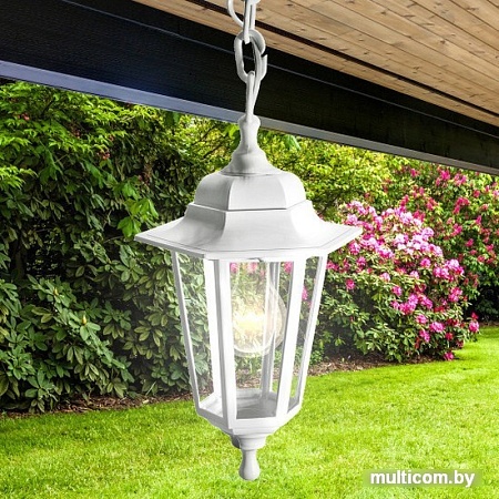 Уличный подвесной светильник ЭРА НСУ 06-60-001 Б0048110