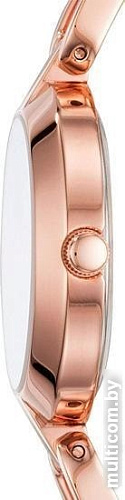 Наручные часы Fossil BQ3206
