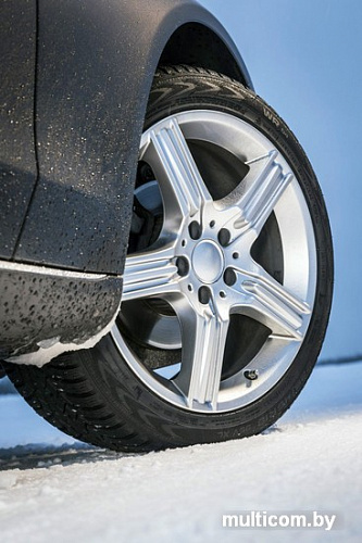 Автомобильные шины Nokian WR D4 165/70R14 81T