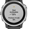 Умные часы Garmin Fenix 6s (серебристый/черный)