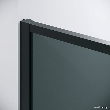 Душевой уголок Grossman Galaxy 100x80x195 120.K33.01.1080.21.10 (черный матовый/тонированное стекло)