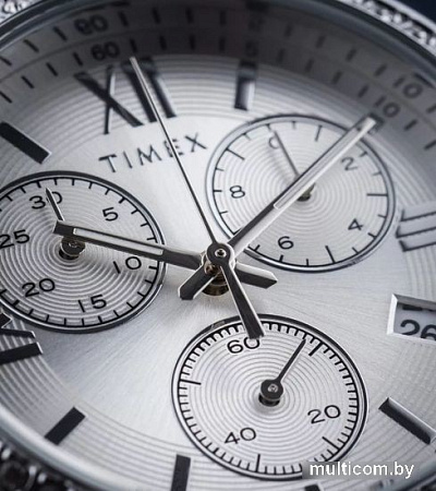 Наручные часы Timex TW2V57600