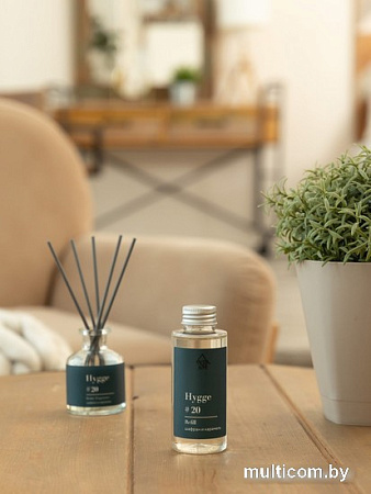 Жидкость для аромадиффузора Arida Home Hygge №20 Шафран и карамель (100мл)