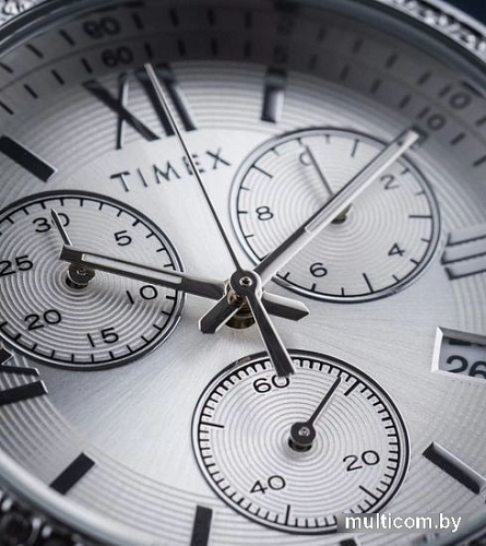 Наручные часы Timex TW2V57600