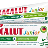 Зубная паста LACALUT Junior 6+ 65 г