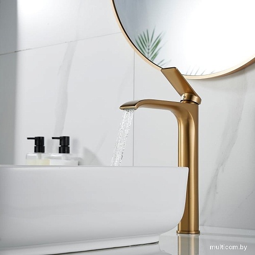 Смеситель Shevanik S4111G