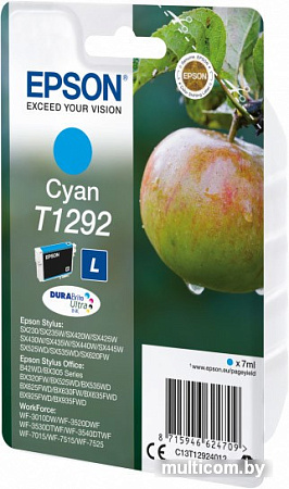 Картридж Epson C13T12924012