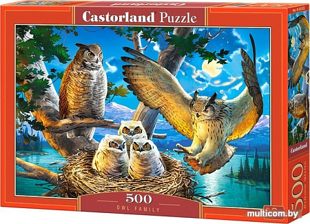 Пазл Castorland Совиное семейство