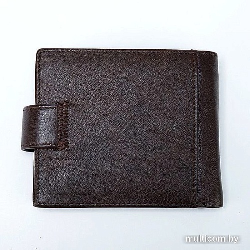 Кошелек Poshete 827-2005-A-BRW (коричневый)