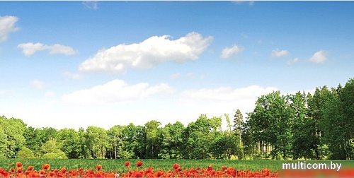 Корзина JoyArty Маковое поле gaba_11902