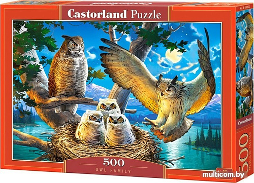 Пазл Castorland Совиное семейство