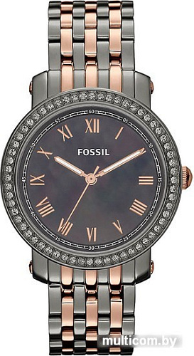 Наручные часы Fossil ES3115