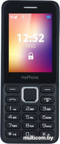 Мобильный телефон MyPhone 6310 (черный)