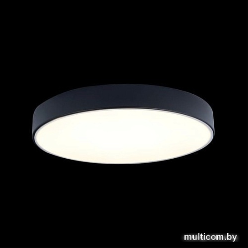 Люстра-тарелка LOFT IT Axel 10002/24 Black