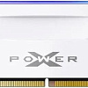 Оперативная память Silicon-Power XPower Zenith RGB 2x32ГБ DDR5 5600 МГц SP064GXLWU560FDH