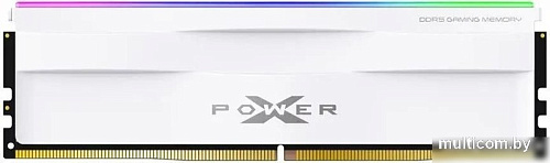 Оперативная память Silicon-Power XPower Zenith RGB 2x32ГБ DDR5 5600 МГц SP064GXLWU560FDH