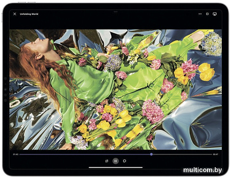 Планшет Apple iPad Pro 11" 2022 512GB (серый космос)