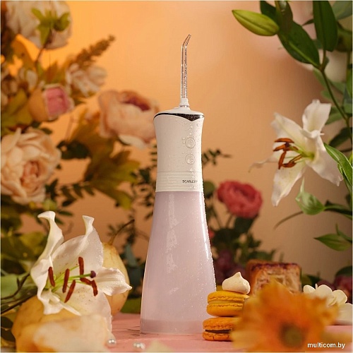 Ирригатор Scarlett SC-WF01