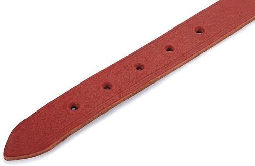 Ошейник Beeztees 735308