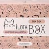 Подарочный набор Milota Box Fox Box MB096