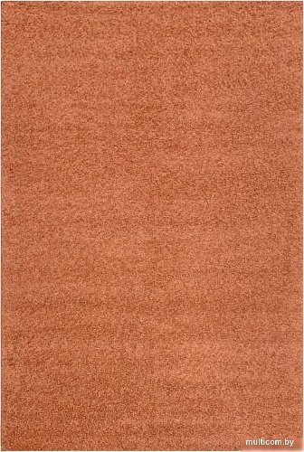 Ковер для жилой комнаты Moldabela Shaggy Geko Прямоугольник 1039 1 30933 (1.6x2.3)