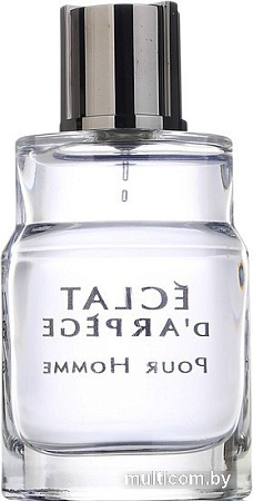 Туалетная вода Lanvin Eclat d'Arpege Pour Homme EdT (30 мл)