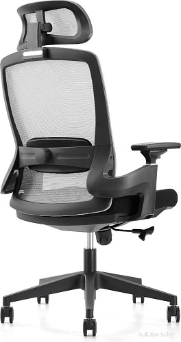 Офисное кресло Insite Rise Evo 1-IS-MC-05019 (черный)