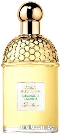 Туалетная вода Guerlain Aqua Allegoria Bergamote Calabria EdT (125 мл)