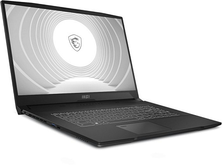 Рабочая станция MSI CreatorPro M17 A12UJS-273RU