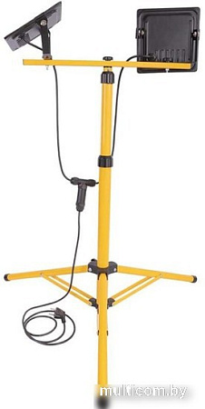 Уличный прожектор Glanzen FAD-0025-2X50