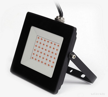 SmartBuy SBL-FLFITO-30-65K