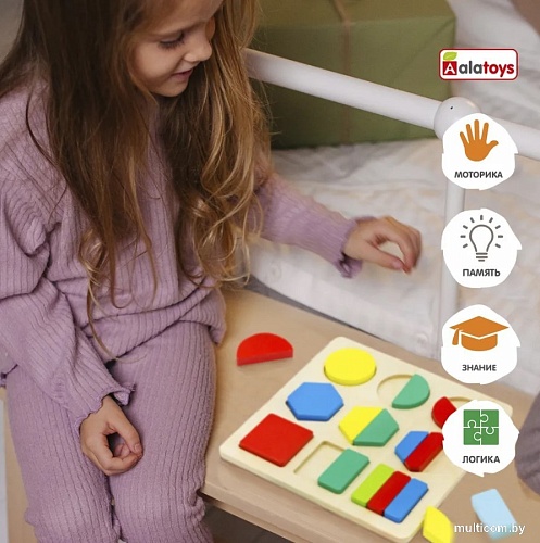 Сортер Alatoys Дроби-фигуры ДР2101