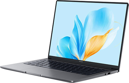Ноутбук HONOR MagicBook X14 2025 FRG-X 5301ALWJ