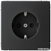 Розетка Systeme Electric ArtGallery GAL001045