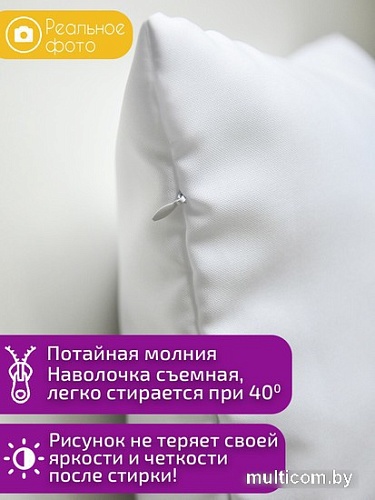 Декоративная подушка Print Style Учитель это не профессия, а образ жизни 40x40new81