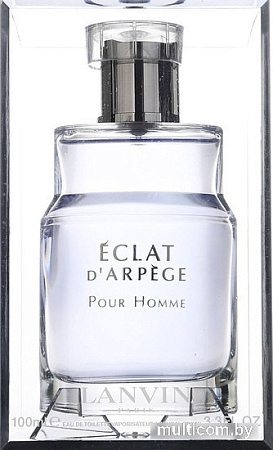 Туалетная вода Lanvin Eclat d'Arpege Pour Homme EdT (50 мл)