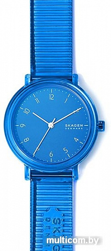 Наручные часы Skagen SKW2855