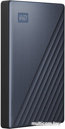 Внешний накопитель WD My Passport Ultra 2TB WDBC3C0020BBL