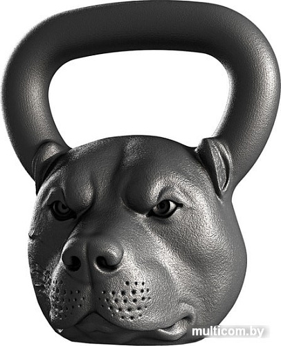 Гиря Iron Head Питбуль 16 кг