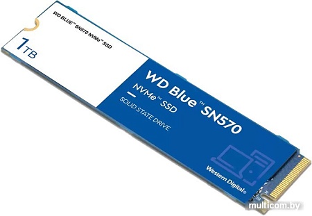 SSD WD Blue SN570 1TB WDS100T3B0C