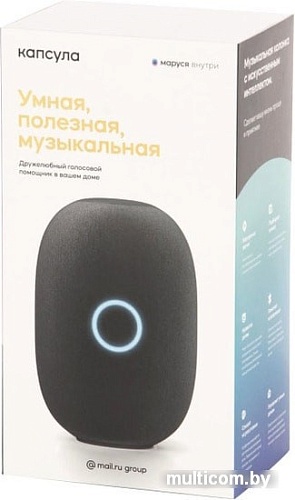 Умная колонка Mail.ru Капсула (черный)