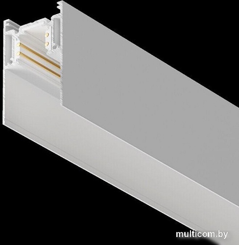 Шинопровод Maytoni Technical Gravity TRX010-412W