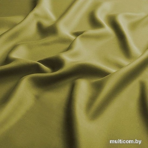 Комплект штор Pasionaria Блэквуд 400x250 (зеленый)