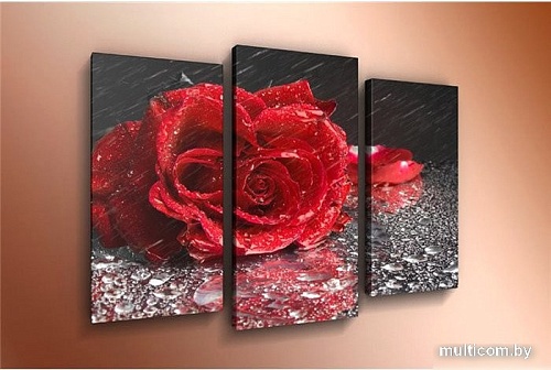 Модульная картина Arthata m-000505 120x80