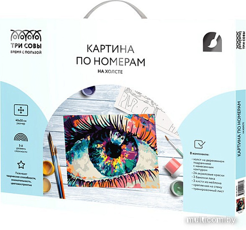 Картина по номерам Три совы Волшебство взгляда КХ_44176