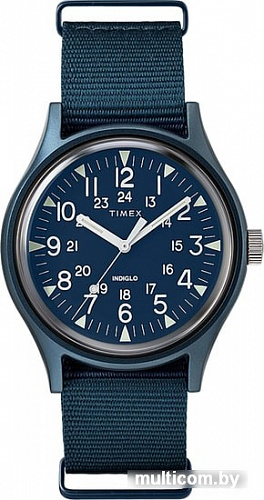 Наручные часы Timex TW2R37300