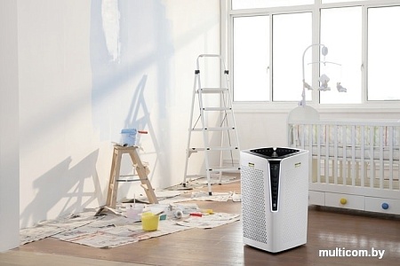 Очиститель воздуха Karcher AF 100 1.024-810.0