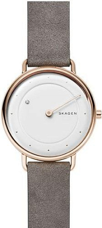Наручные часы Skagen SKW2739