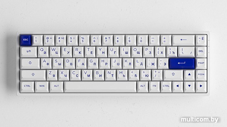 Клавиатура Akko 3068B Plus White & Blue (Akko CS Jelly Purple)