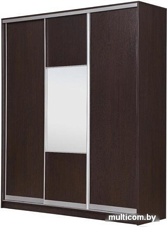 Шкаф-купе Рэйгрупп 233450 VVX Elgon РГ-07.05 (венге/хром)